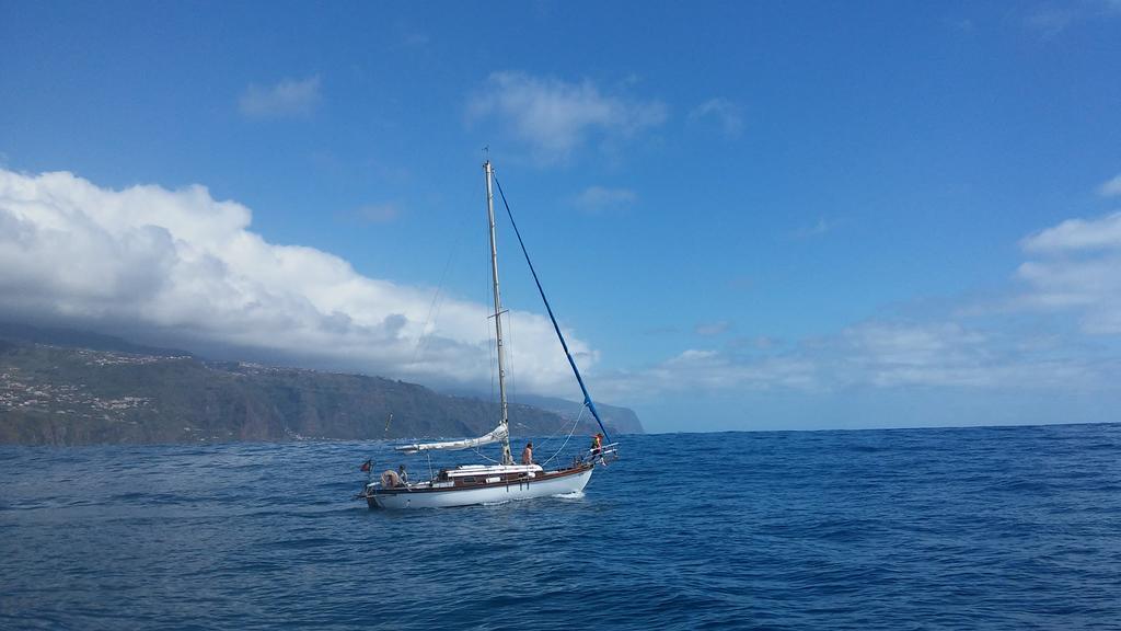 Ocean View Madeira Apartment Madalena do Mar Ngoại thất bức ảnh